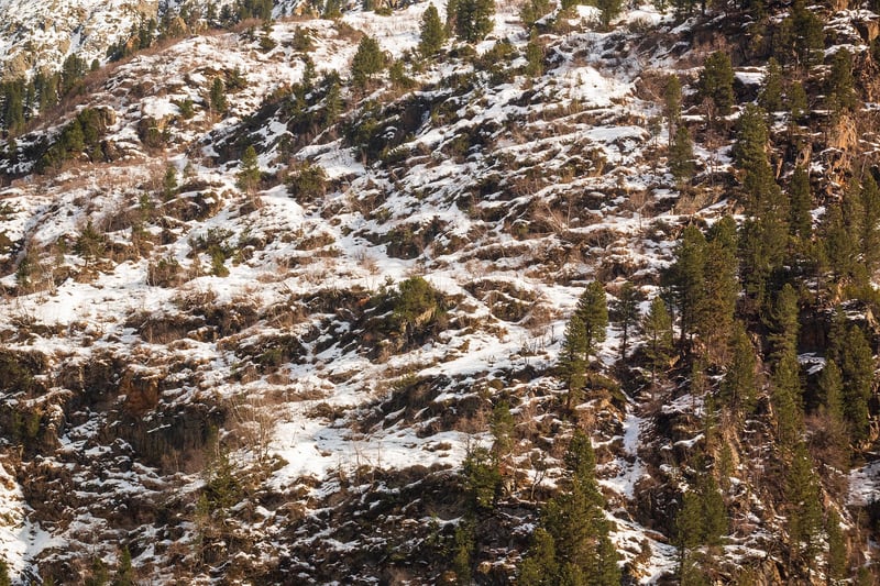 Era Exploration Image