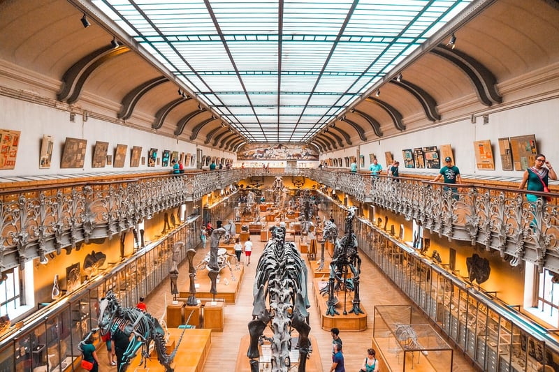 Zigong Dinosaur Museum